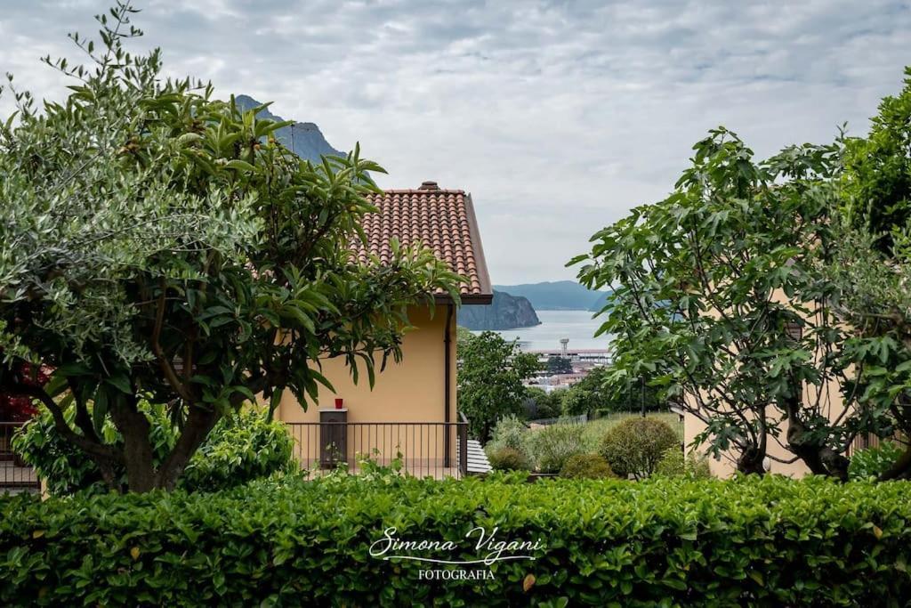Apartment Letizia House -